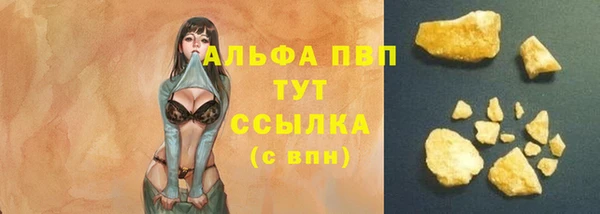стаф Белоозёрский