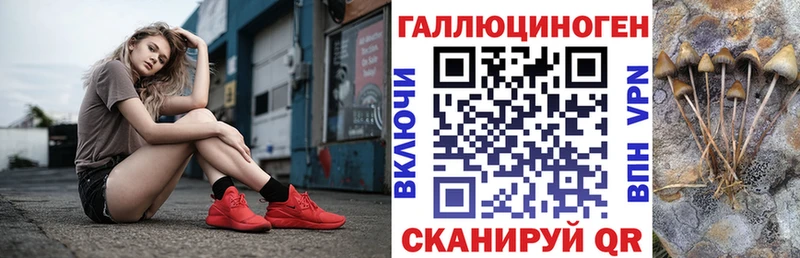 darknet состав  что такое   Владивосток  Псилоцибиновые грибы ЛСД  KRAKEN зеркало 